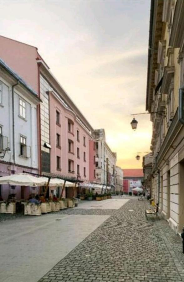 Savoya Residence Timisoara Exterior foto